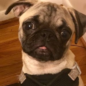 Meet your Posher, Cathy